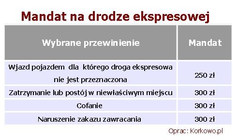 Taki mandat możesz dostać na ekspresówce