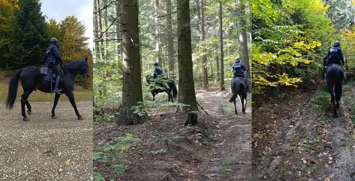 Policjanci na koniach