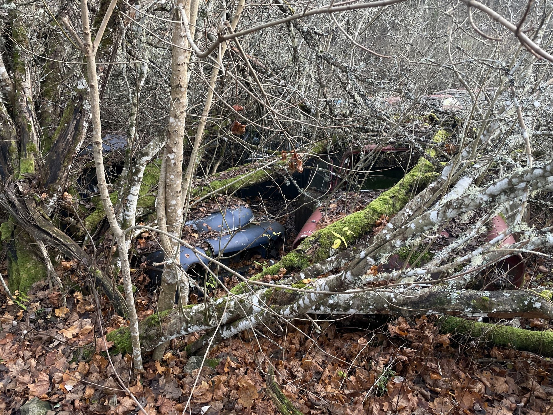 Cmentarzysko samochodów w Bastnas w Szwecji
