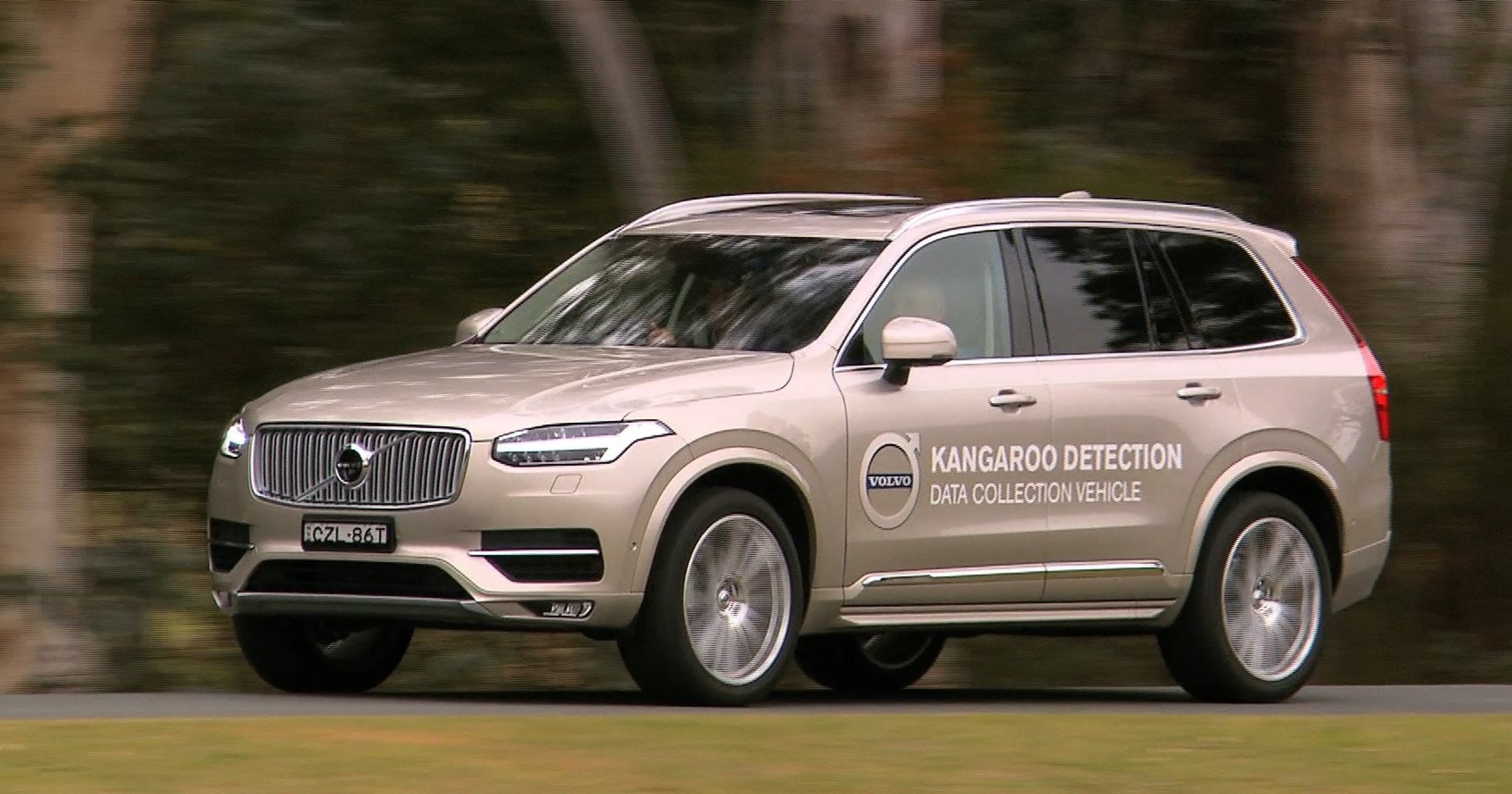 Volvo Kangaroo Detection