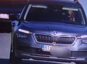 Policjanci musieli przecierać oczy ze zdumienia. Na zdjęciu kierowcą jest pies