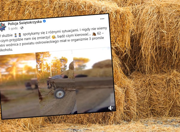 Nietypowa sytuacja na drodze. Policjant musiał złapać za lejce [WIDEO]