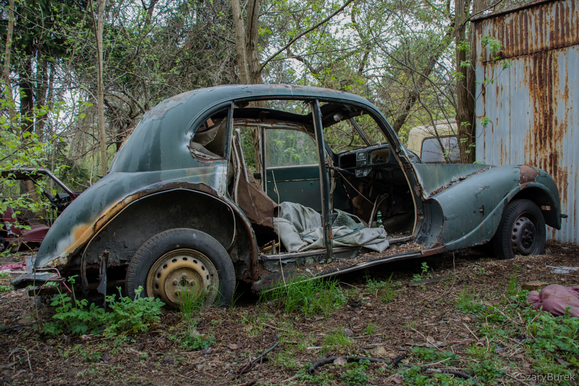 Zapomniana i rozkradziona kolekcja Tadeusza Tabenckiego