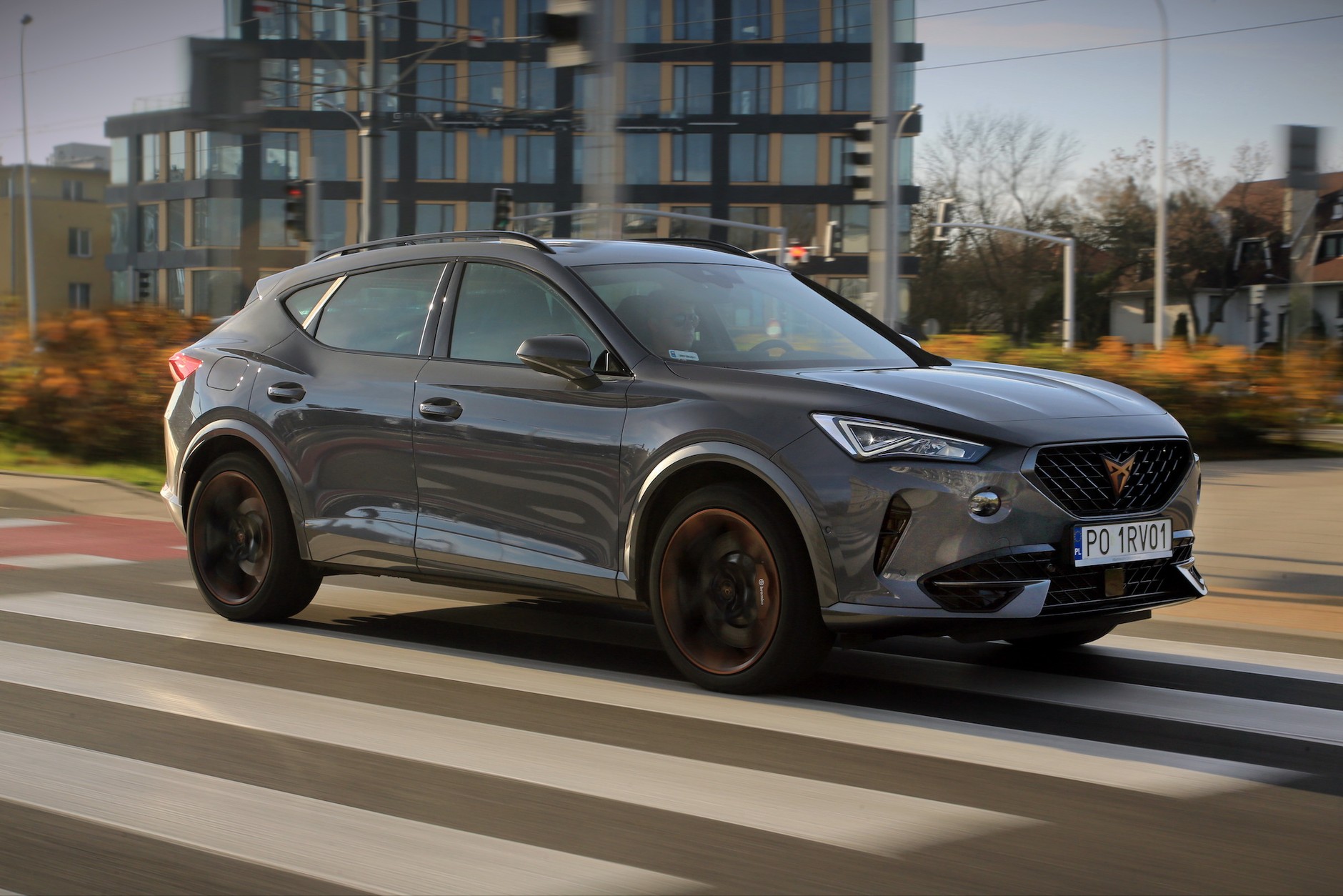 13. Cupra Formentor: 4 tys. 356 egz.