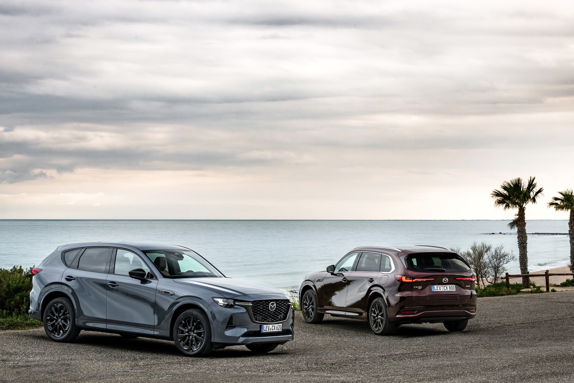 Mazdy CX-60 o CX-80
