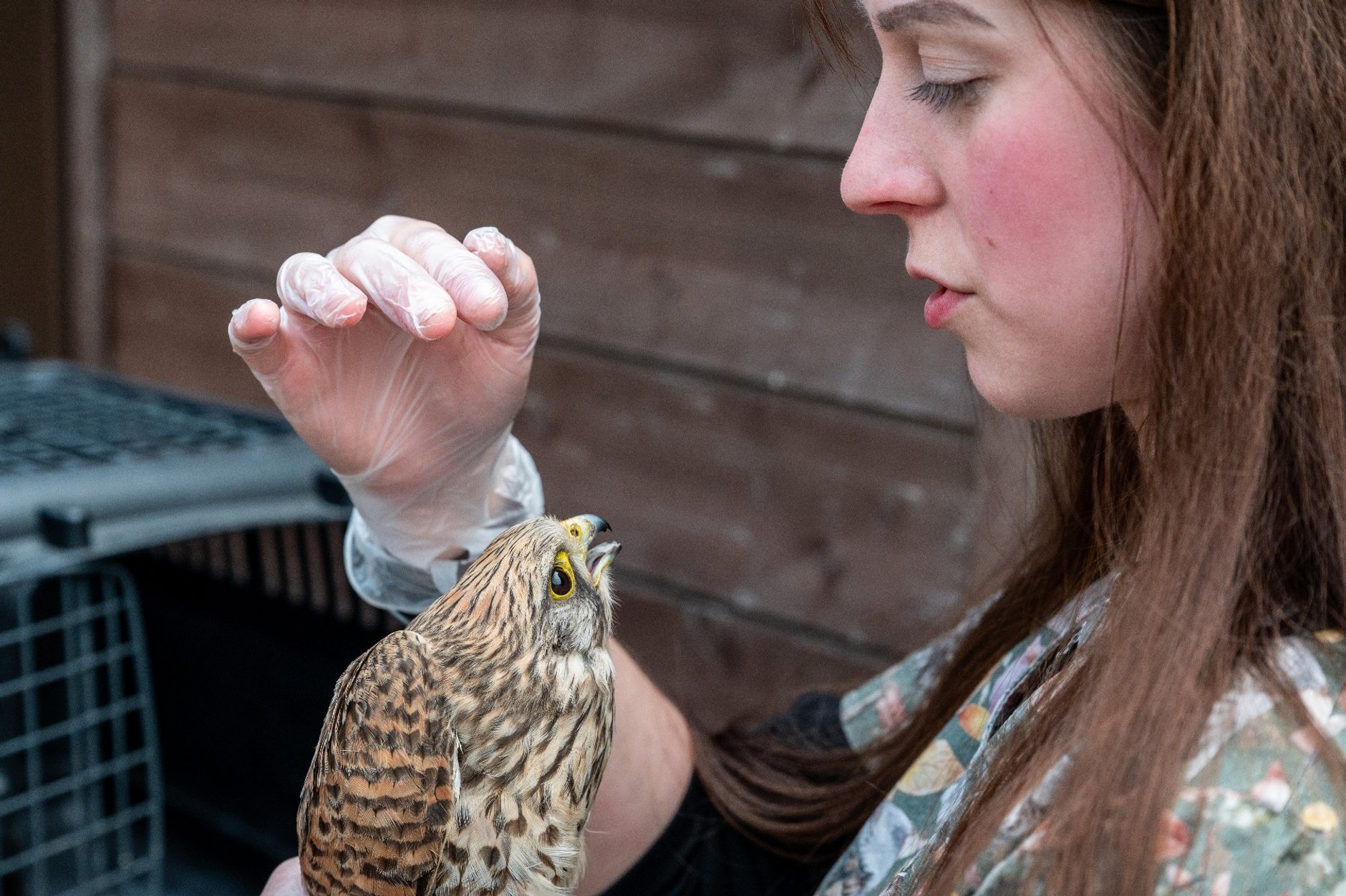 W radiowozach pojawiły się inkubatory. Posłużą specjalnym celom