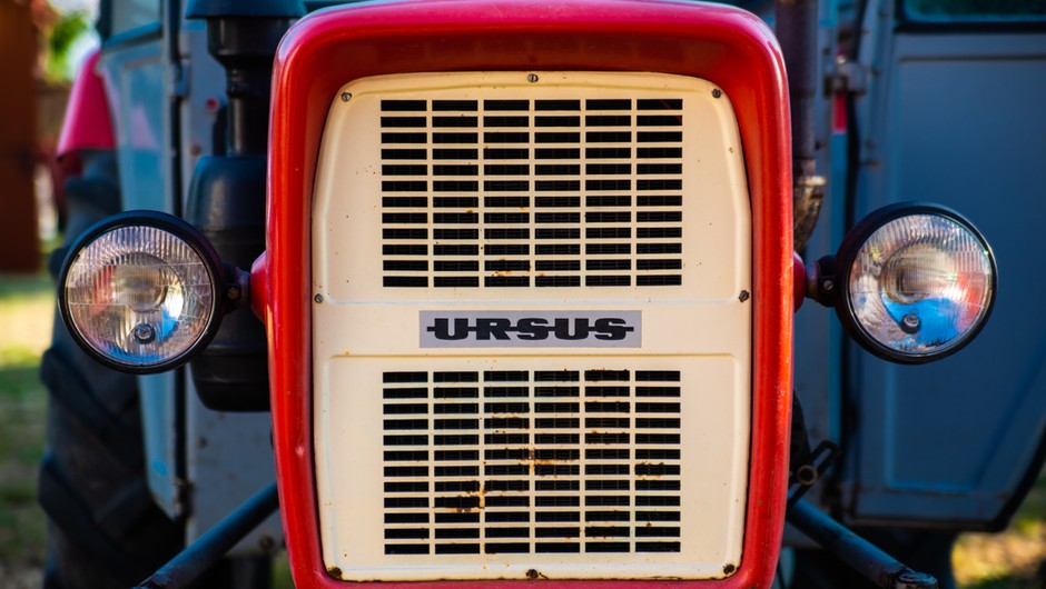 Ursus