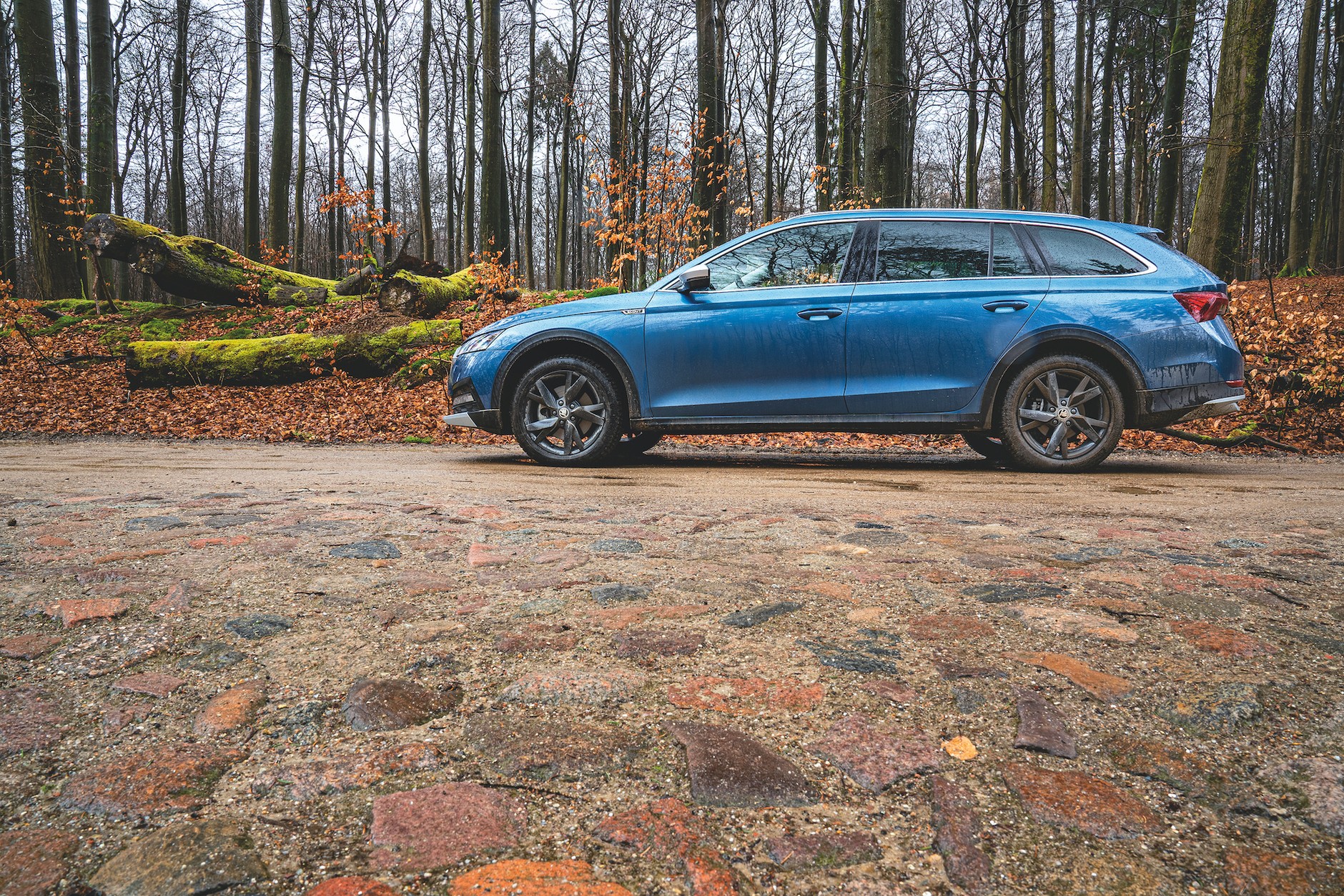 Skoda Octavia Scout – wersja dla aktywnych