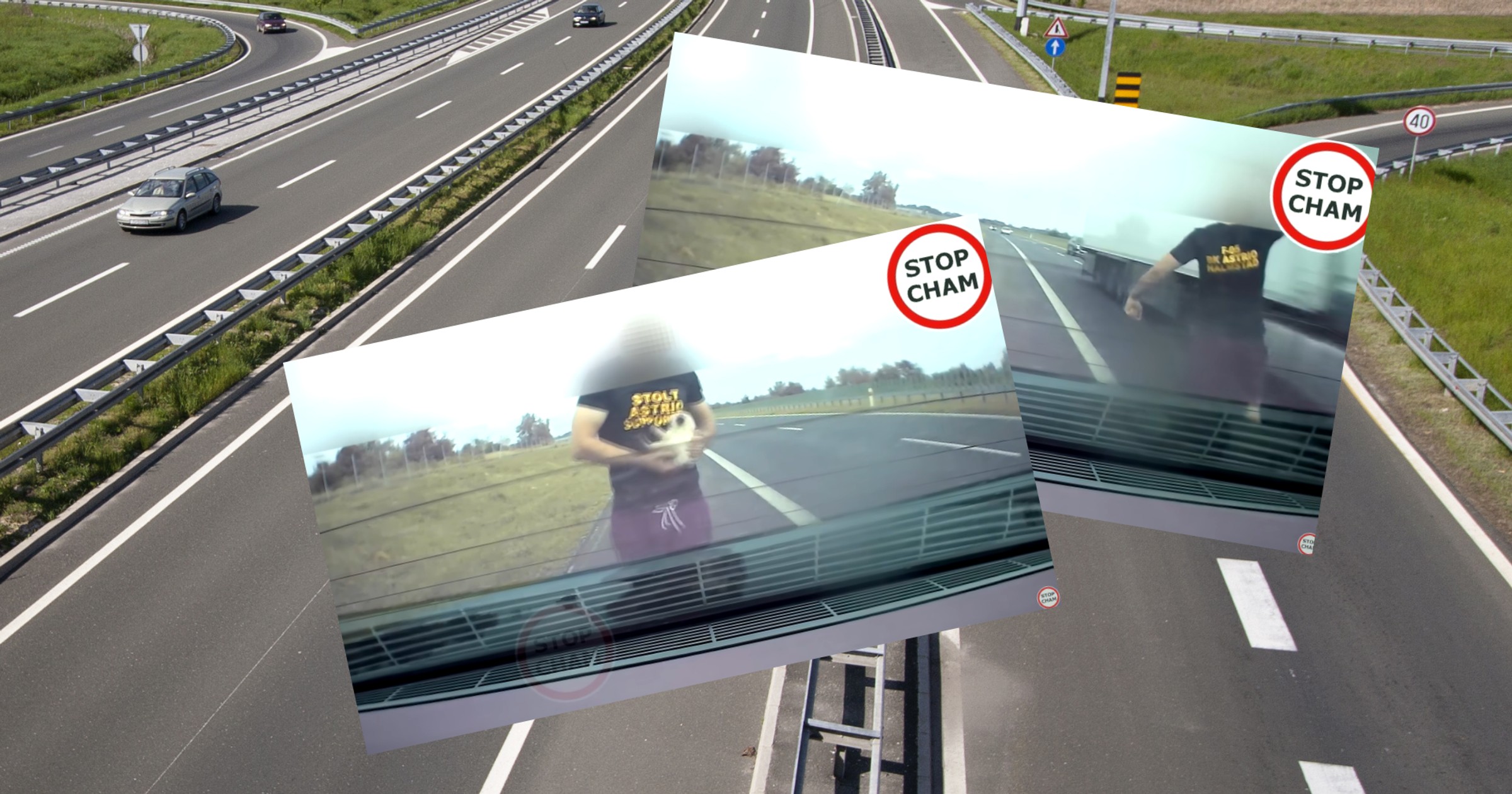 Mężczyzna uratował kota na S5 (screenshot/YouTube/@STOPCHAM)