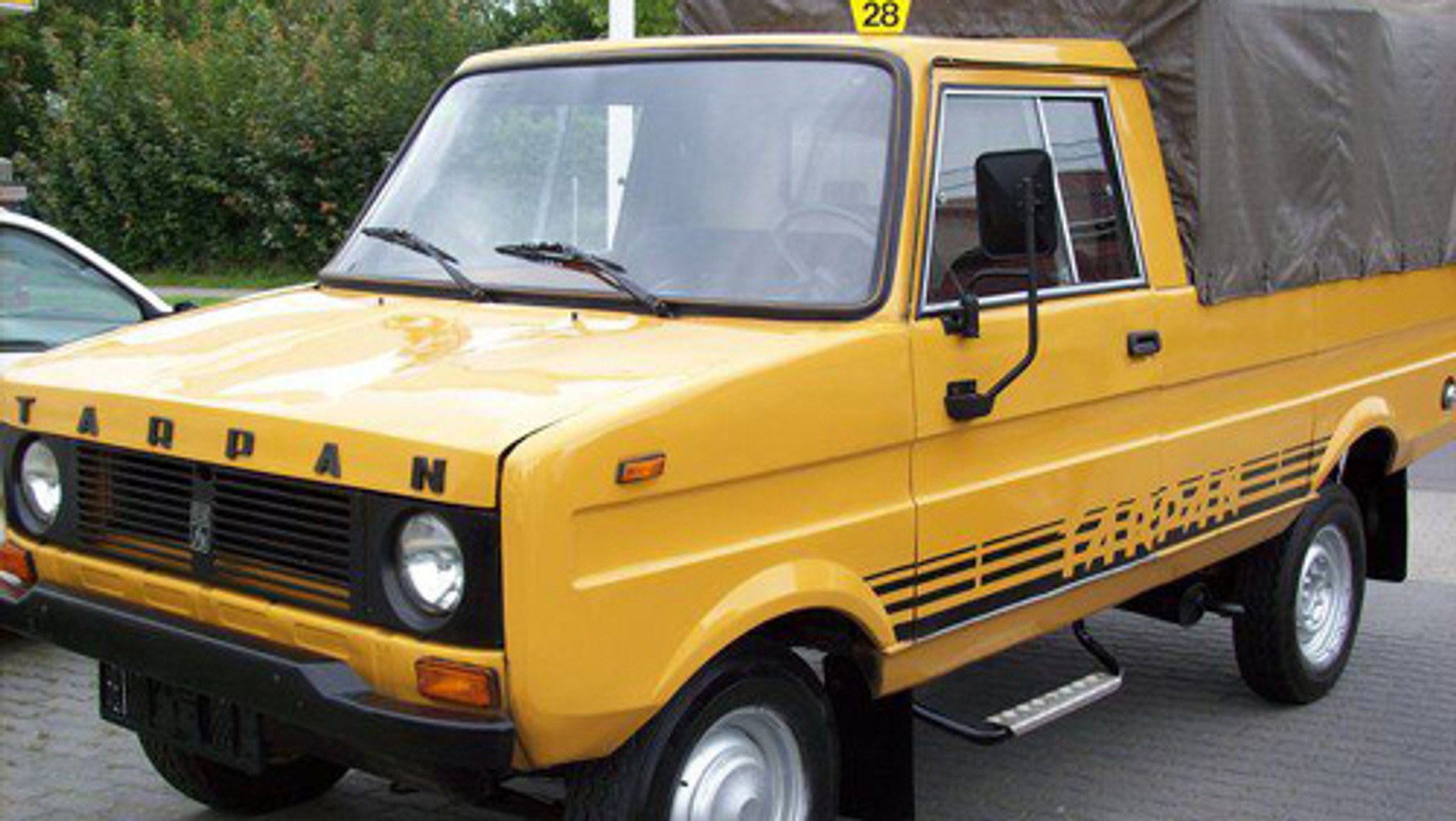 Tarpan 233