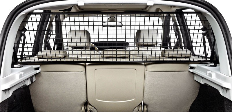Nowy Renault Scenic: ładny, nowoczesny, wygodny (ceny w Polsce)