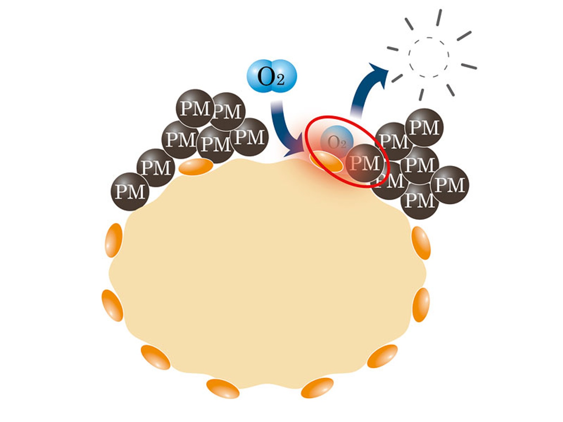 Mazda 6: nowy silnik 2,2 MZR-CD w wersjach 125, 163 i 185 KM