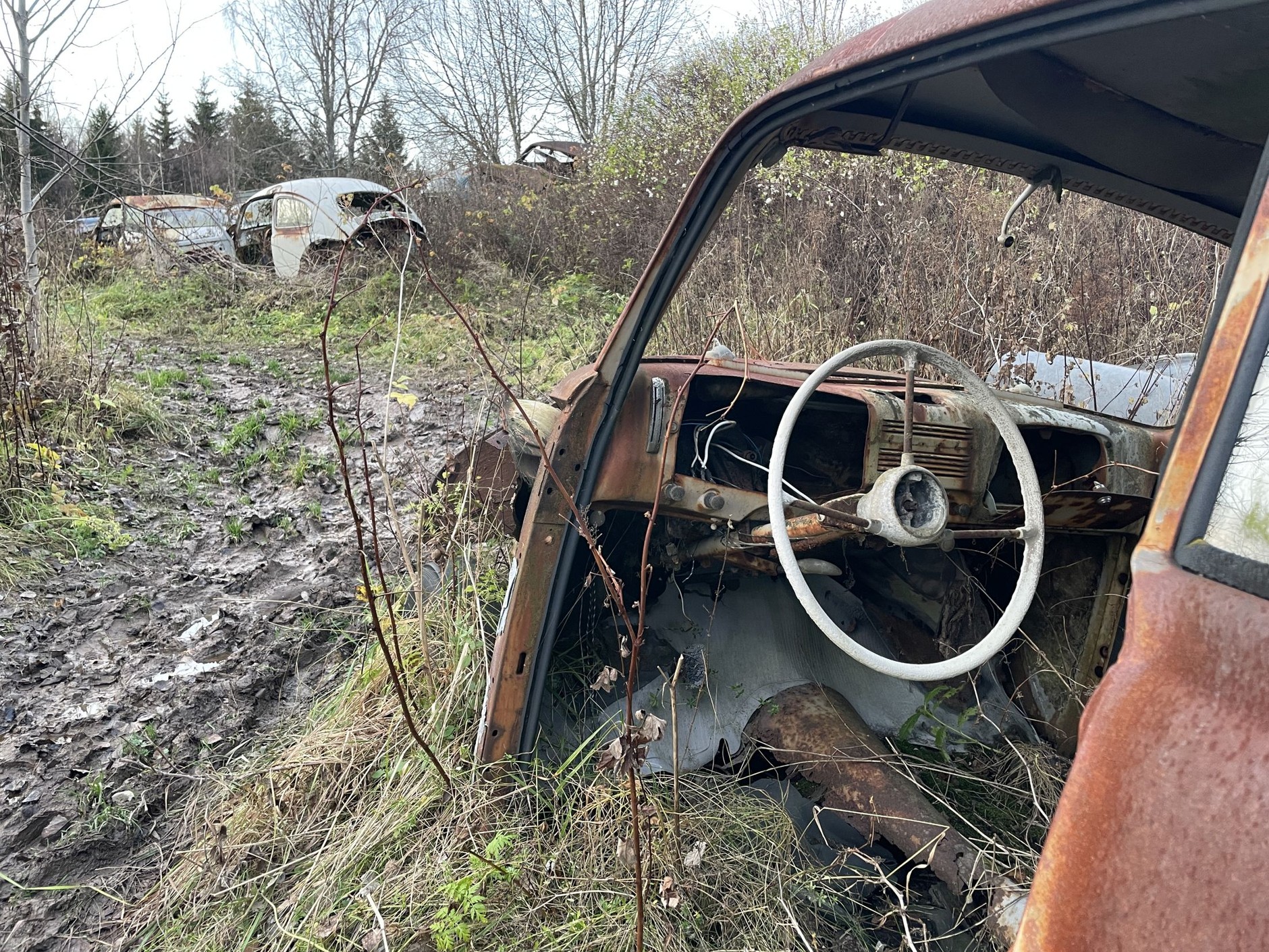 Cmentarzysko samochodów w Bastnas w Szwecji