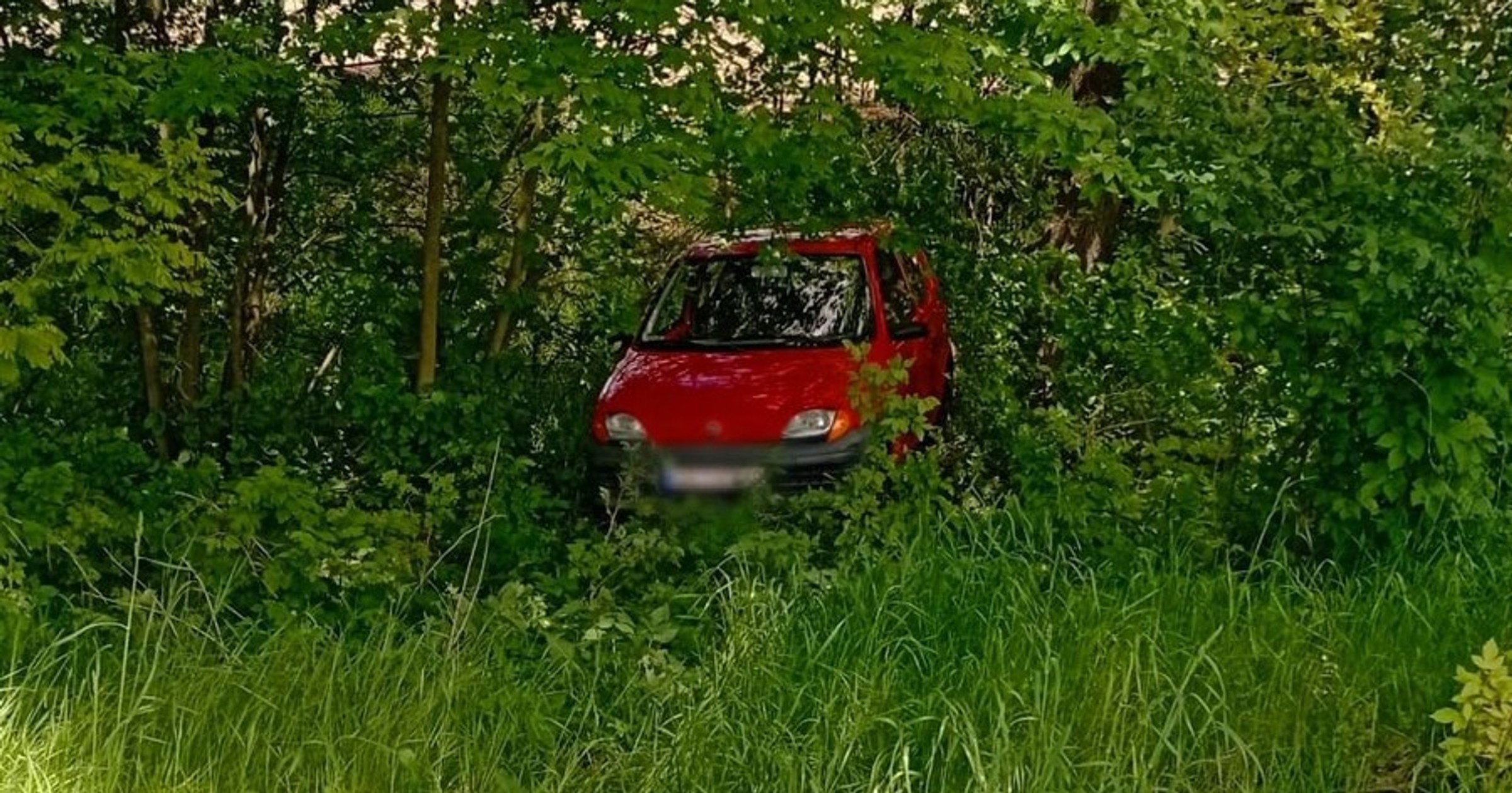 "Skradziony" Fiat Seicento odnaleziony w krzakach