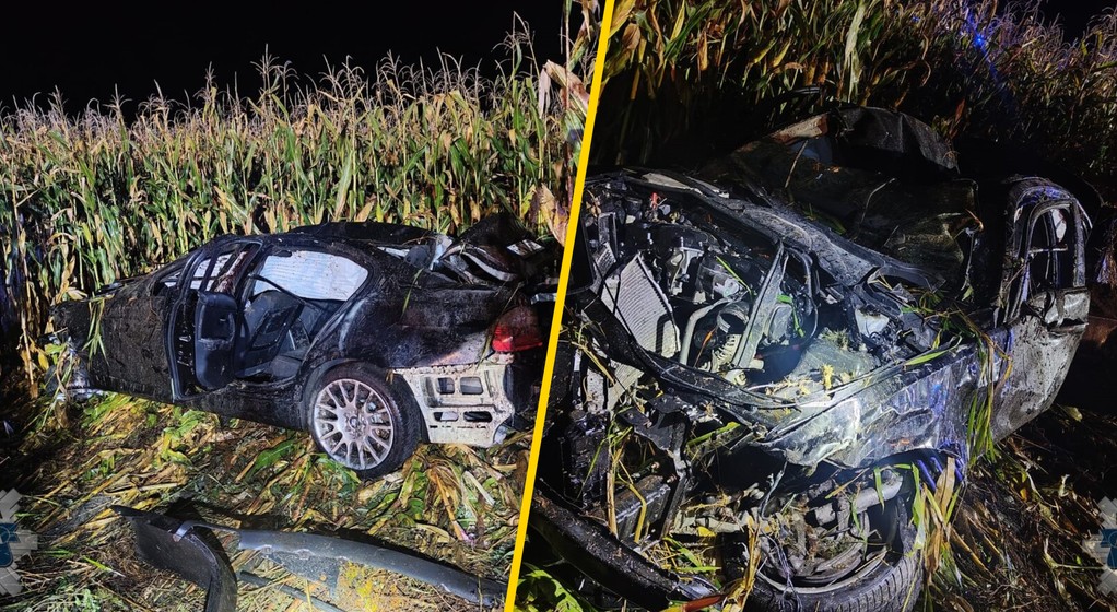 Zderzenie BMW z łosiem. Zginął 24-latek