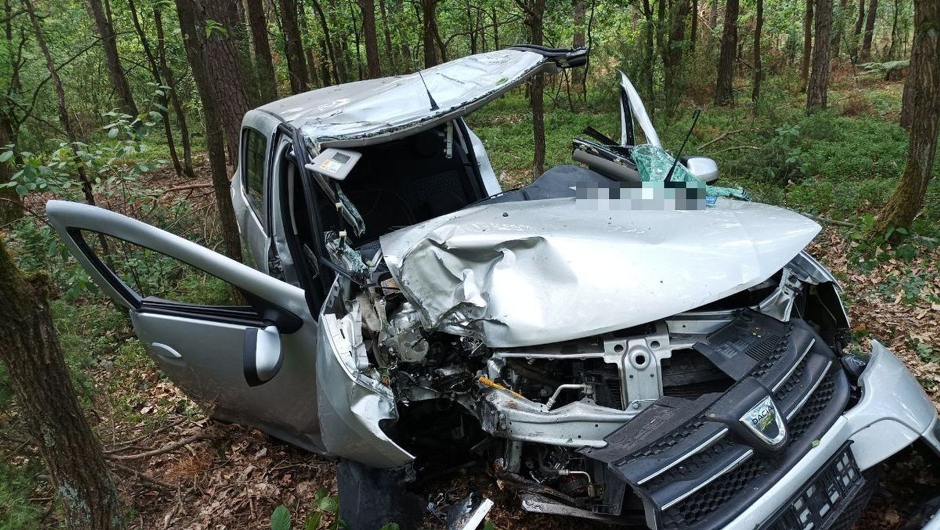 Tak wygląda auto osobowe po zderzeniu z łosiem