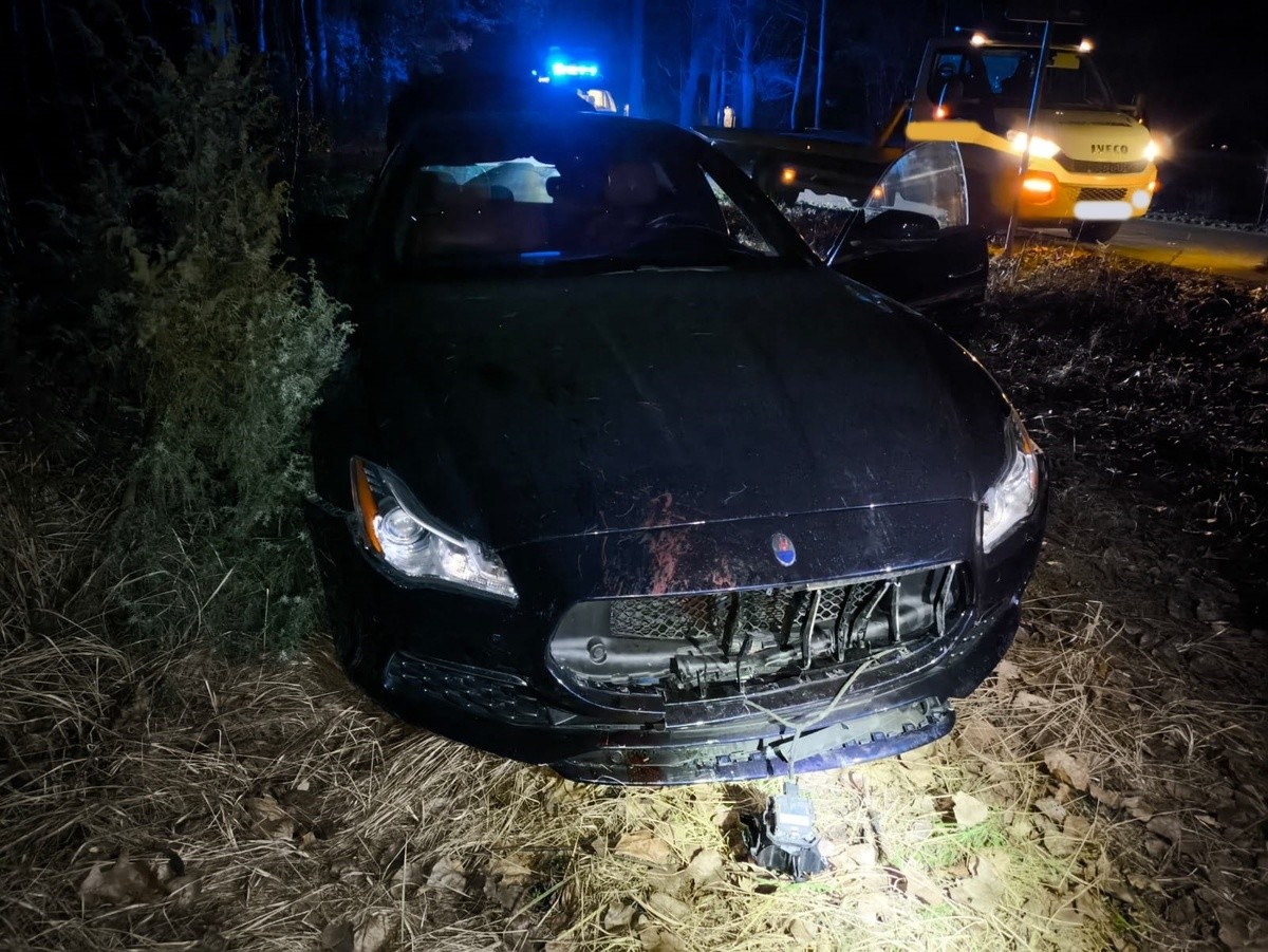 Kierująca maserati zderzyła się z dzikiem