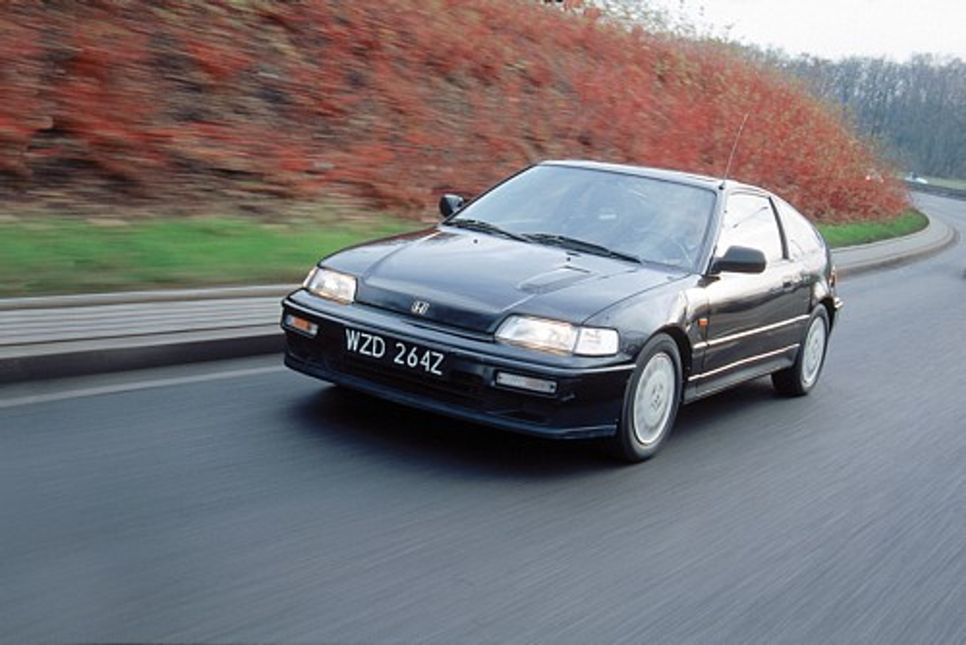 Mała, dzika i uzależnia