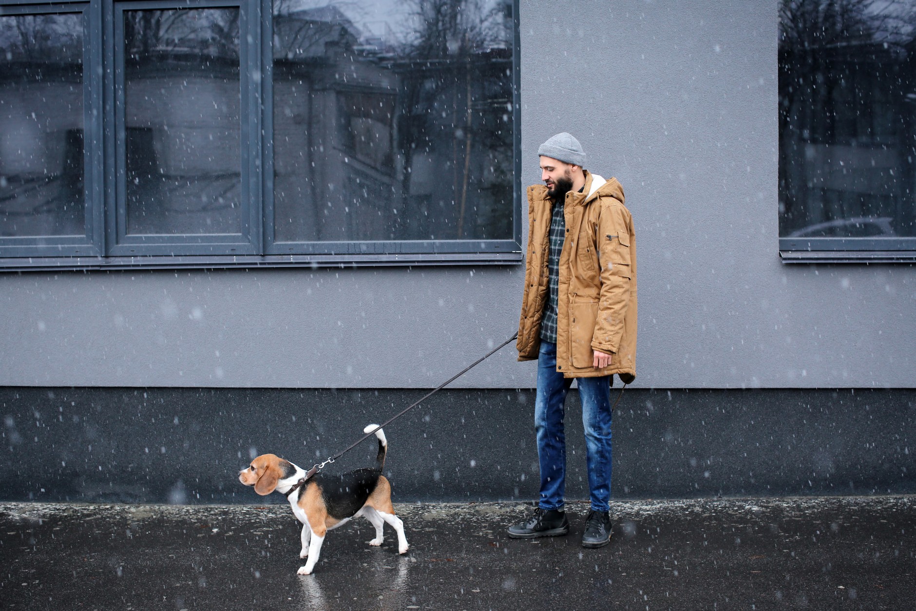 Sól drogowa jest śmiertelnie niebezpieczna dla psów