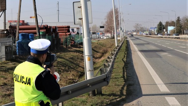 Policjanci prowadzili akcję w całym mieście. Zatrzymali 219 kierowców