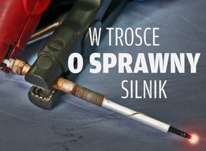 Diesel przed zimą