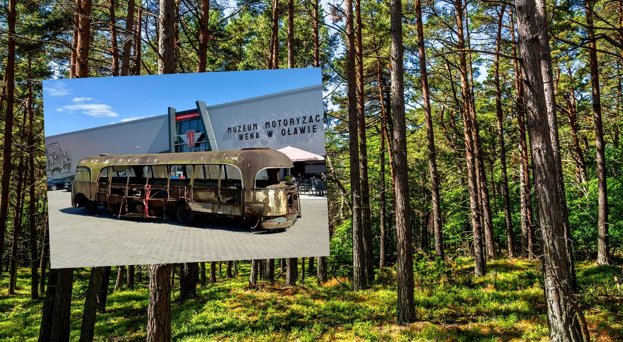 Sensacyjne odkrycie w lesie. Polski autobus Bałtyk odnaleziony po prawie 60 latach