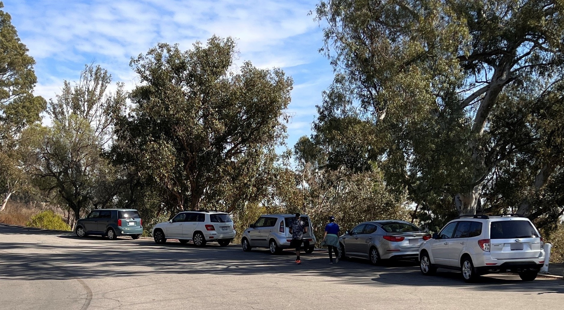 I znów nic niezwykłego. Od lewej: co najmniej 15-letni Scion xB, za nim kolejno Mercedes GLK, Kia Soul, Kia Optima i Subaru Forester.