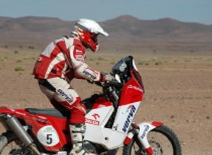 Rajd Maroka 2009: Przygoński czwarty, awans Dąbrowskiego