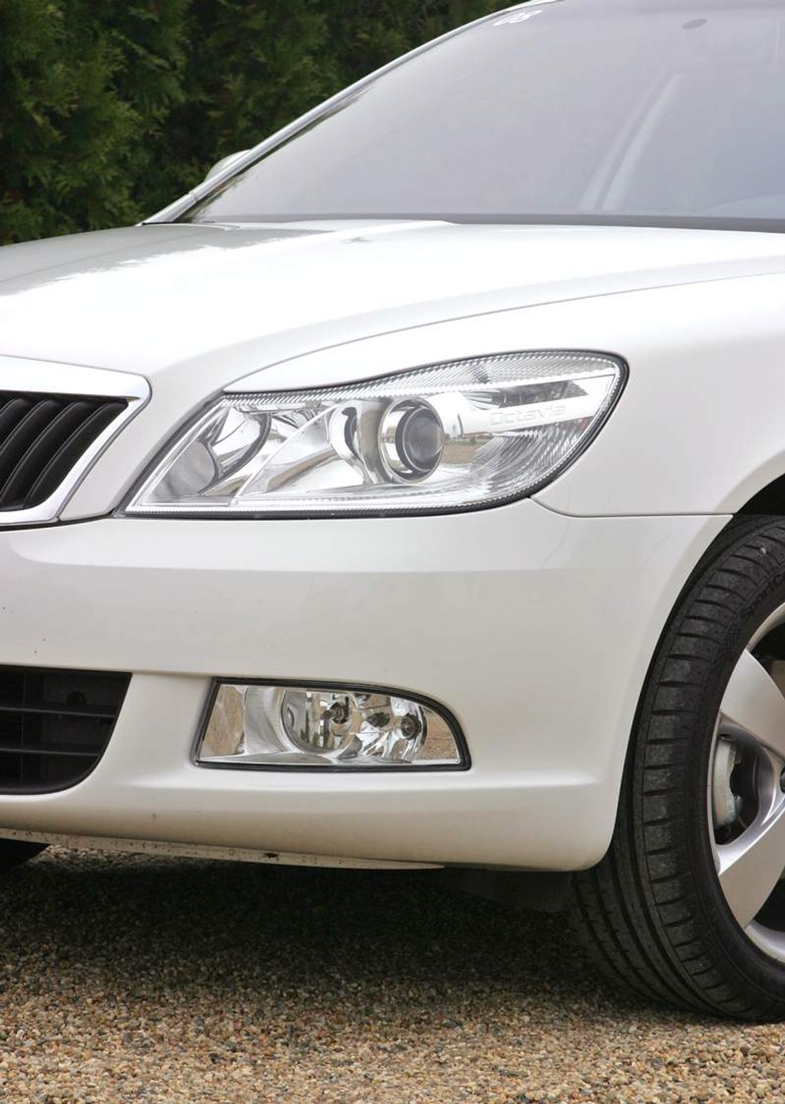 Škoda Octavia Combi 1,4 TSI (90 kW): pierwsze wrażenia z jazdy