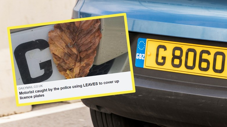 Przyczepił liście do tablic rejestracyjnych (screenshot/Twitter/@MailOnline)