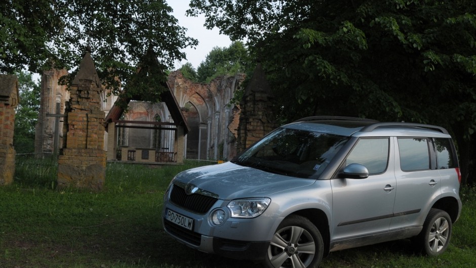 Skodą Yeti tropimy żubry