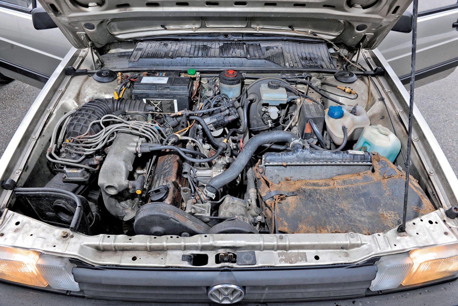 Volkswagen Passat SyncroGT - Spokojny bernardyn