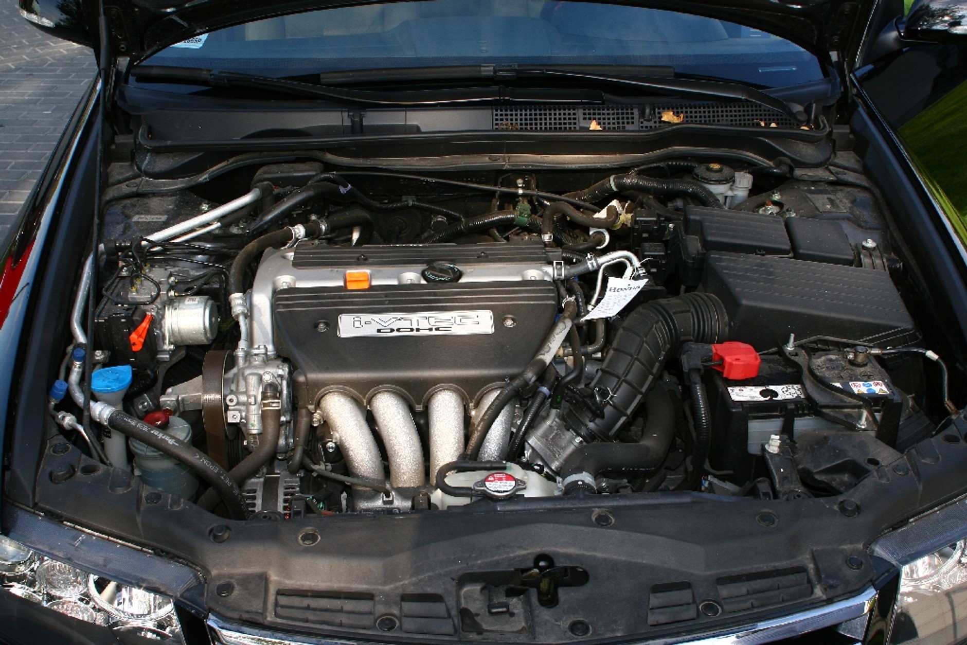 Robimy zdjęcia do ogłoszenia