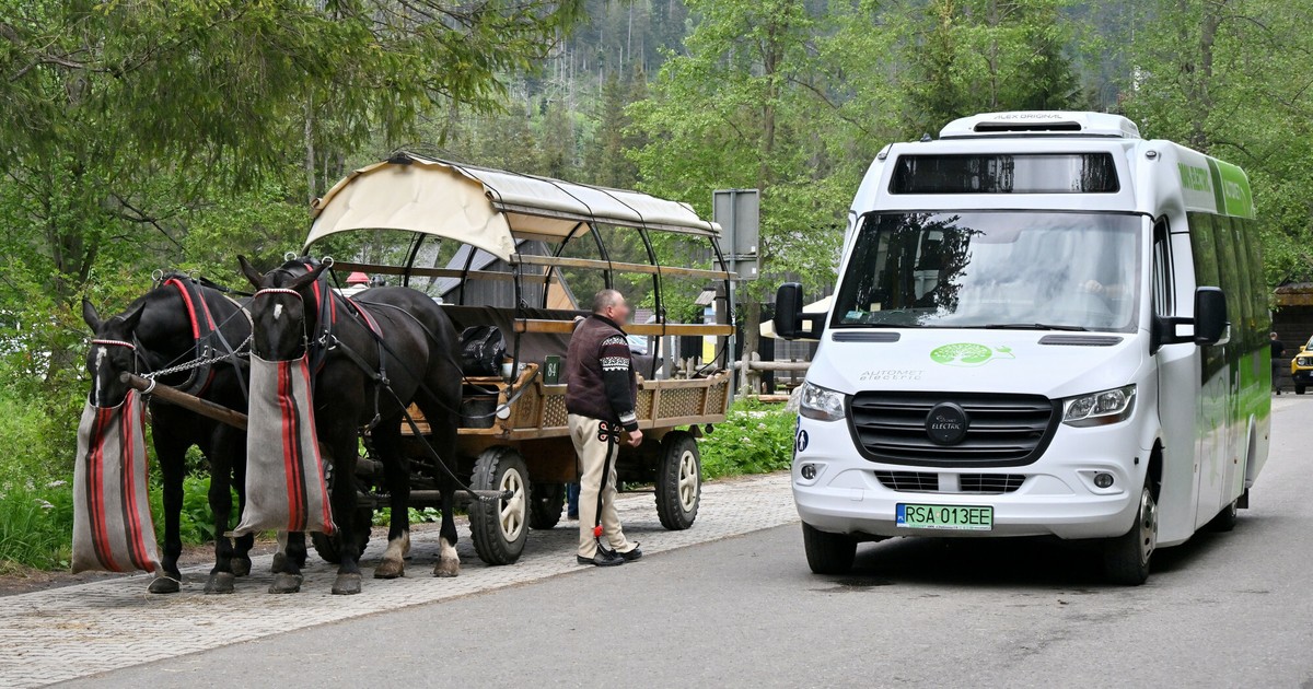  Górale wściekli. Nie chcą elektrycznych busów. Tak być nie może. Konie mają zostać