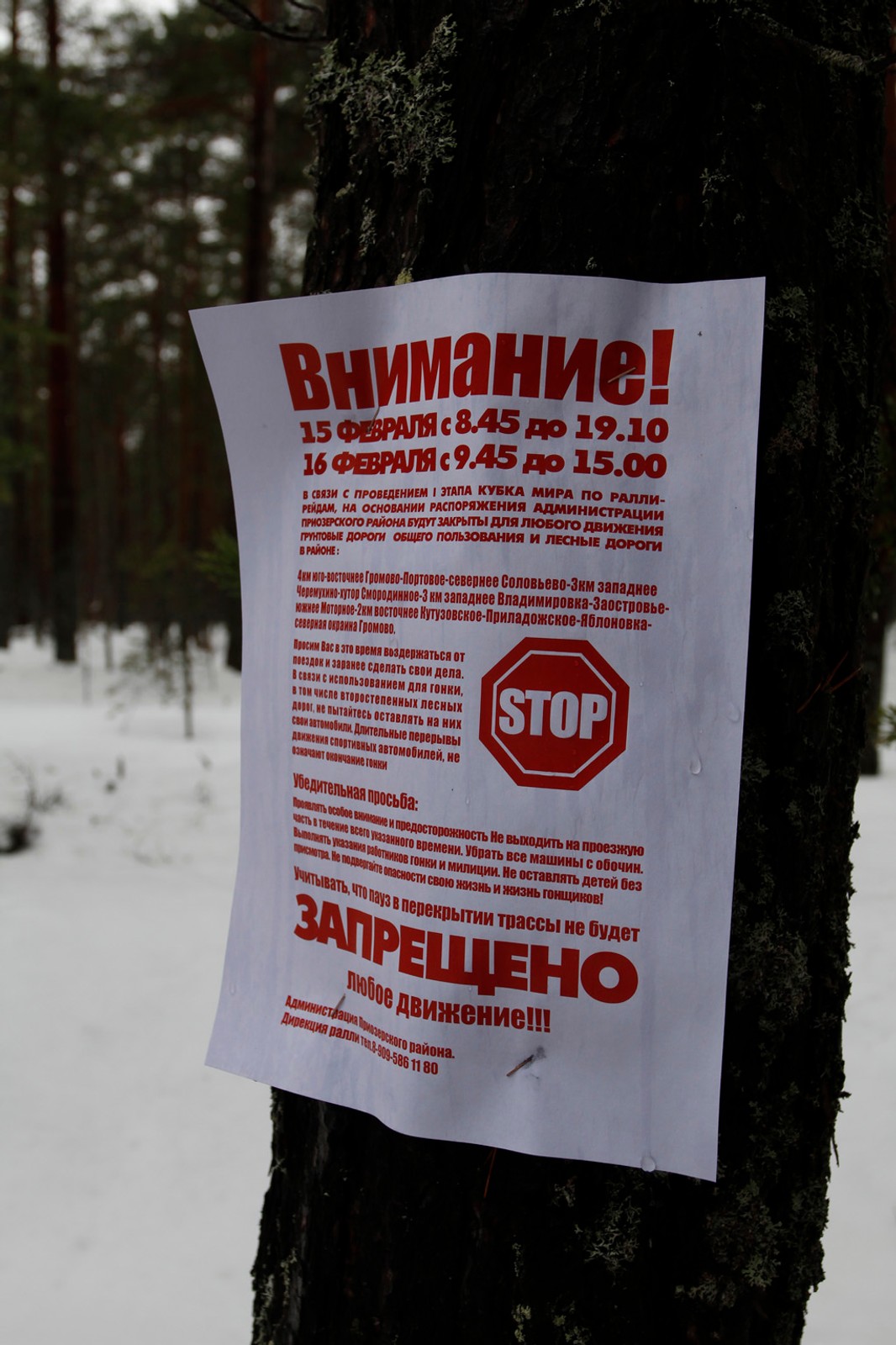 Baja Russia | Cross Country na kolcach