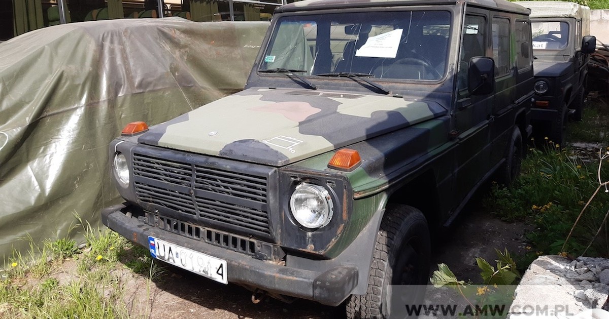 Samochód ciężarowo-osobowy wysokiej mobilności Mercedes 290 GD (brak paska klinowego, popękana przednia szyba) - 1995 r., 55 tys. zł