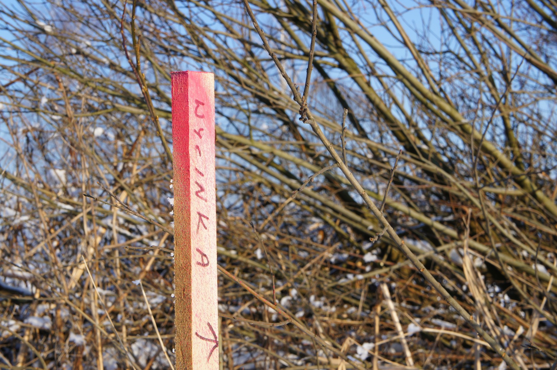 Rusza budowa najsłynniejszej polskiej obwodnicy