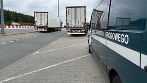 Białorusin złapany na gorącym uczynku: 5 tys. zł kary za przewóz kwiatów