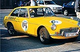 Żubr w Mitsubishi