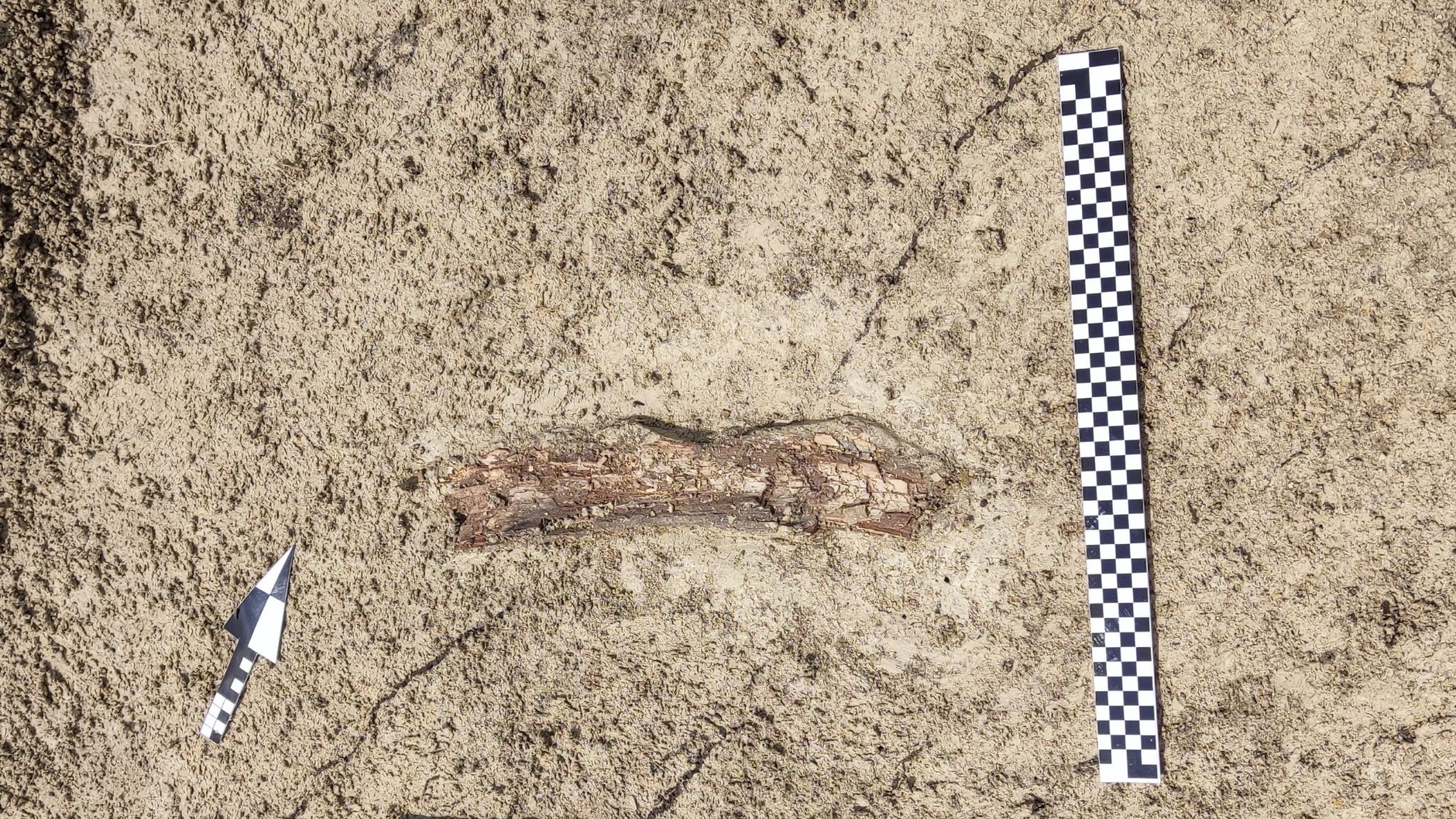 Nietypowe znaleziska na budowie S17