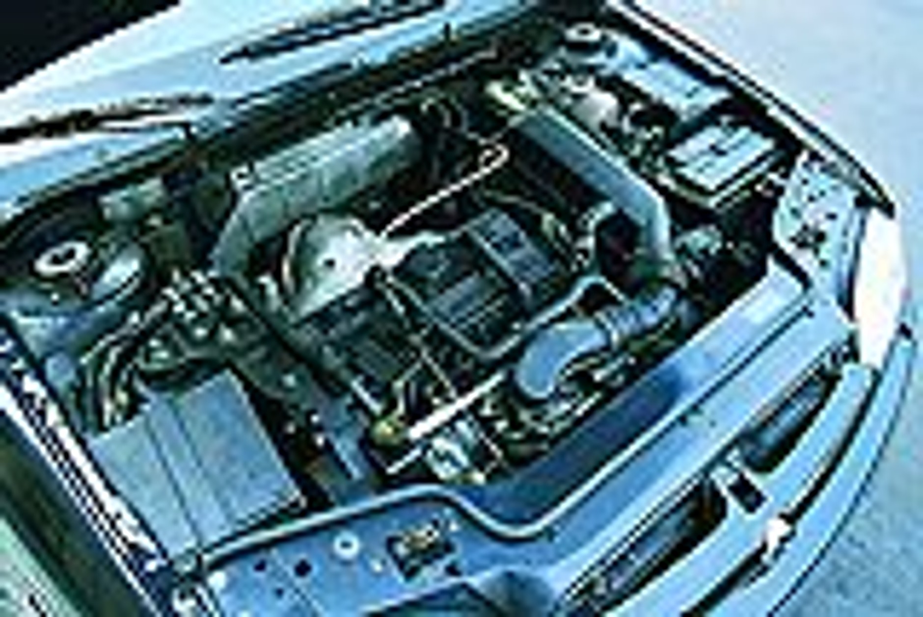 Nie tylko dla amatorów