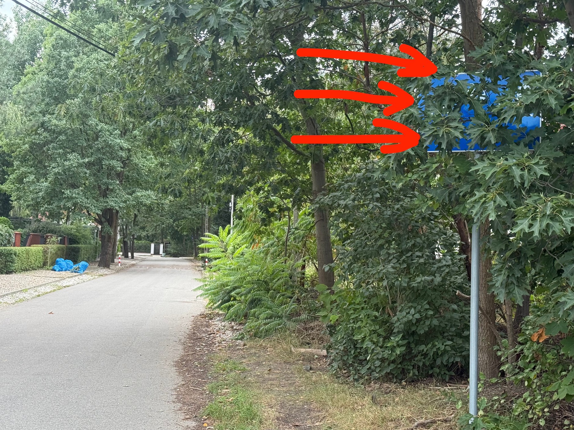 Bądź czujny – w strefie zamieszkania piesi czują się swobodnie, ty możesz nie zaiuważyć znaku