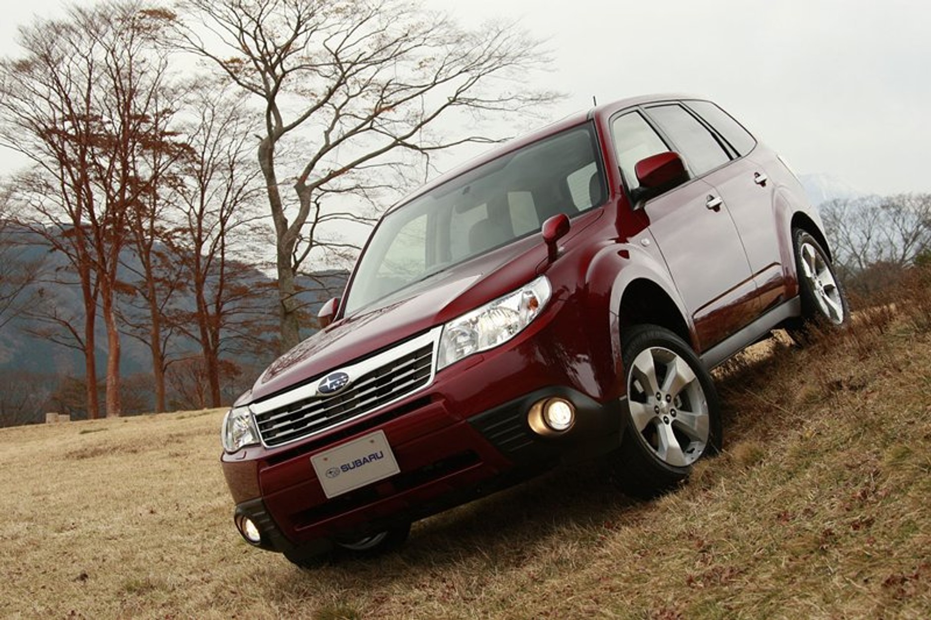 Subaru Forester – nowość dla leśników