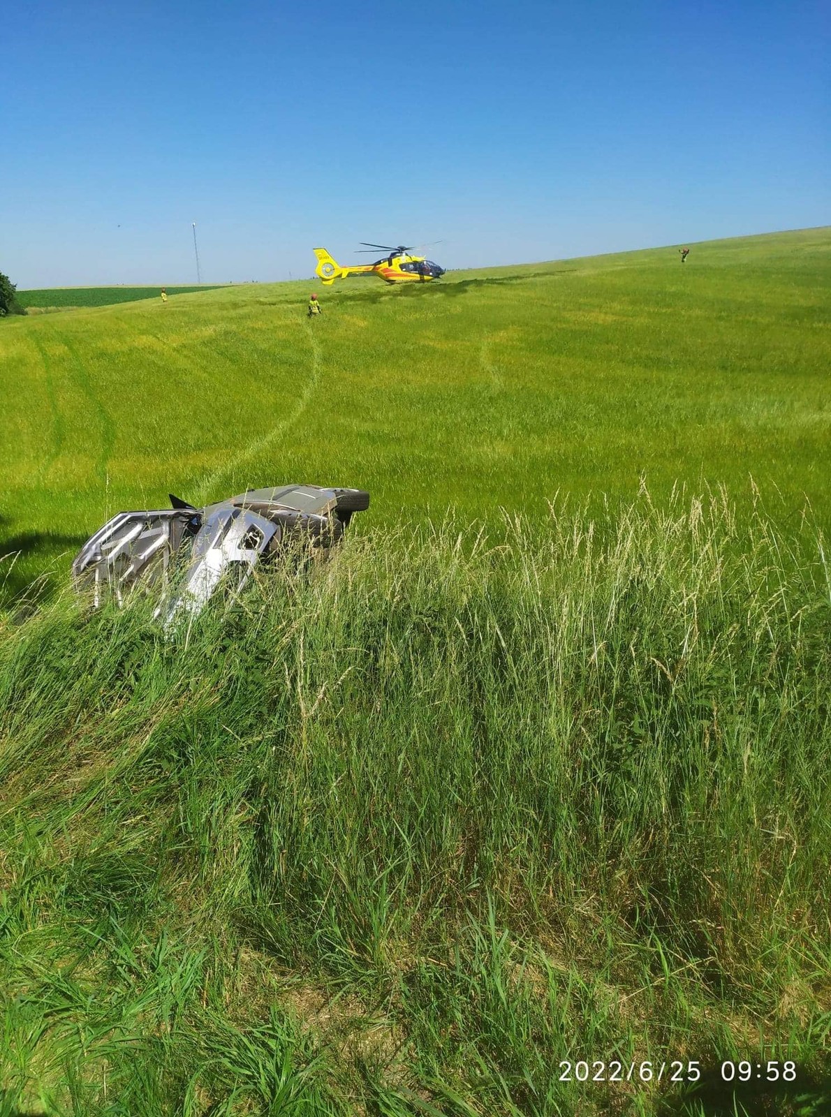 Kobieta, wioząc wnuczka uderzyła w drzewo