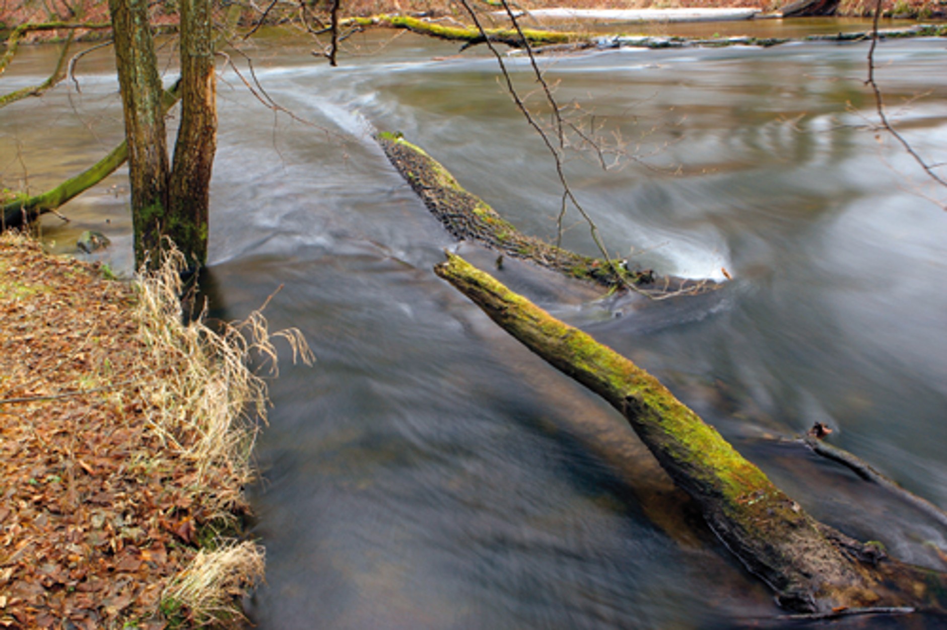 Samochodem i... pieszo!