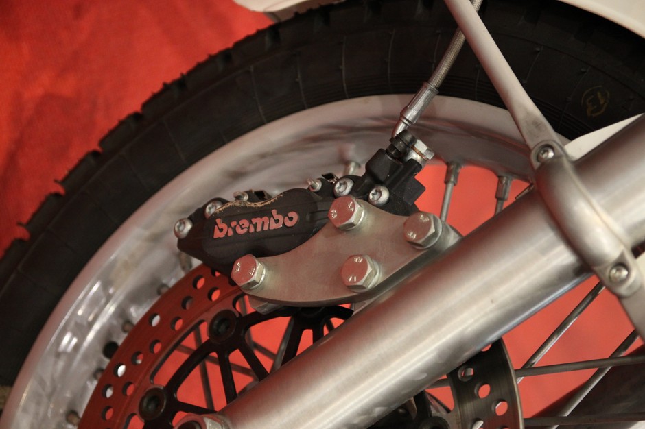 Ural Schneeleopard