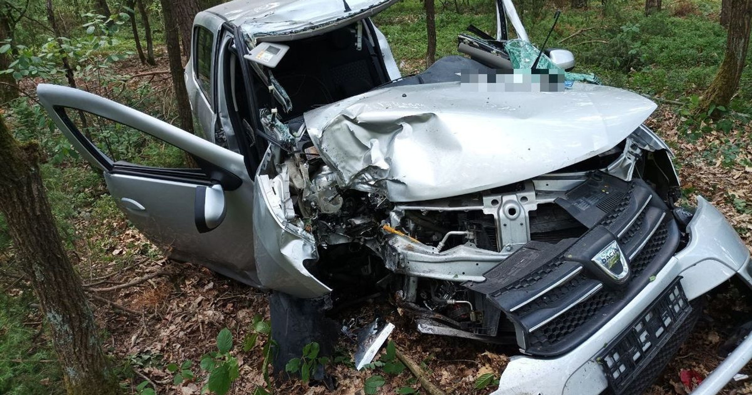 Tak wygląda auto osobowe po zderzeniu z łosiem - zdj. ilustracyjne