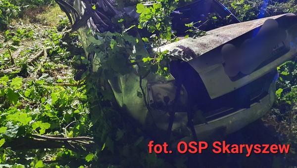 19-latek ściął pięć drzew. Auto "złożyło się" jak harmonijka