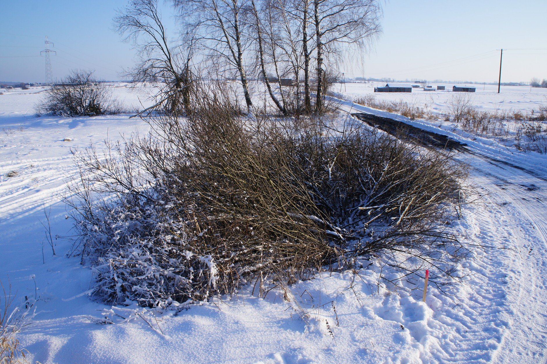 Rusza budowa najsłynniejszej polskiej obwodnicy