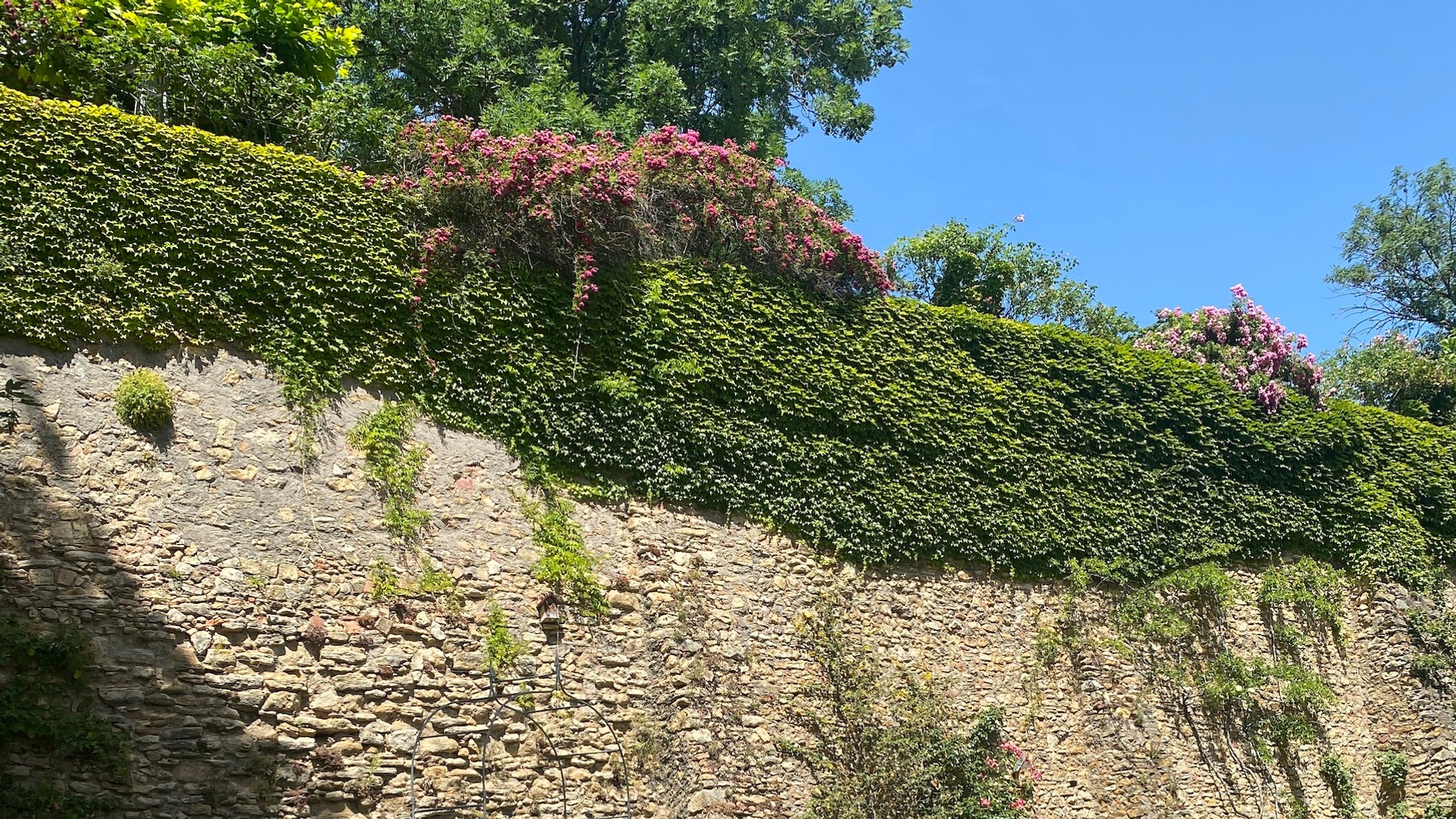 Mazda MX-5 2.0 SkyActiv-G Soft Top (ND, 2022 r.)